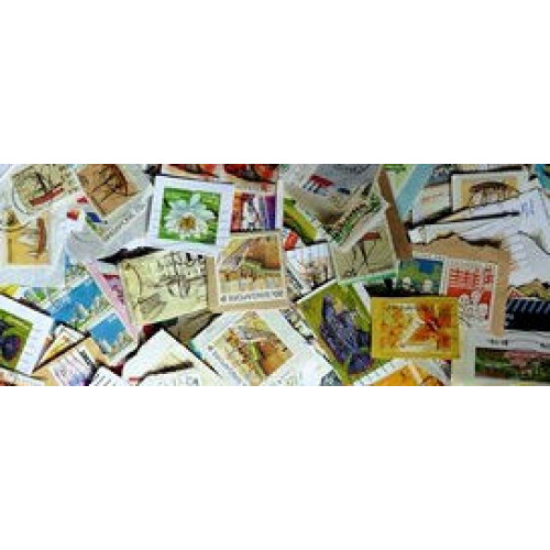 Singapore KILOWARE DjungelBag 5 KG (11LB) larger definitives