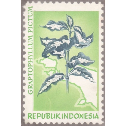 INDONESIA 1968 Flora Plant Flowers A Stamp Artist´s works signed issued 129/118mm