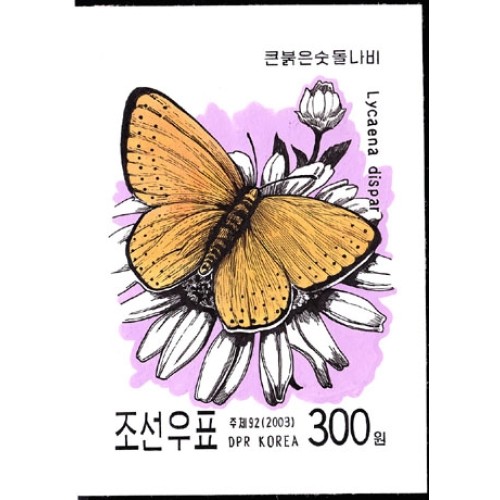 Korea DPR (North) 2003. Little butterfly 300w. Signed Artist Stamps Works. Size: 136/181mm KP Post Archive Mark