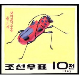 Korea DPR (North) 1963. Red big Beetle 10w D. Signed Artist Stamps Works. Size: 134/121mm KP Post Archive Mark