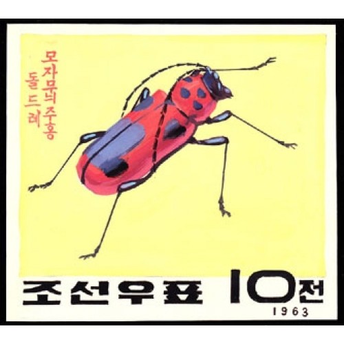 Korea DPR (North) 1963. Red big Beetle 10w D. Signed Artist Stamps Works. Size: 134/121mm KP Post Archive Mark