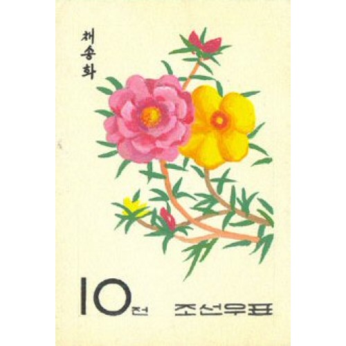 Korea DPR (North) 1965. Flower 10w C. Signed Artist Stamps Works. Size: 100/150mm KP Post Archive Mark