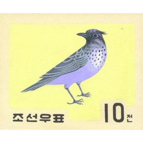 Korea DPR (North) 1966. Bird 10w A Signed Artist Stamps Works. Size: 145/115mm KP Post Archive Mark