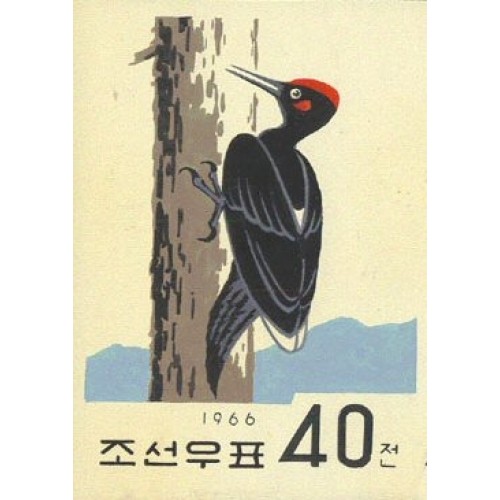 Korea DPR (North) 1966. Bird 40j Signed Artist Stamps Works. Size: 111/154mm KP Post Archive Mark