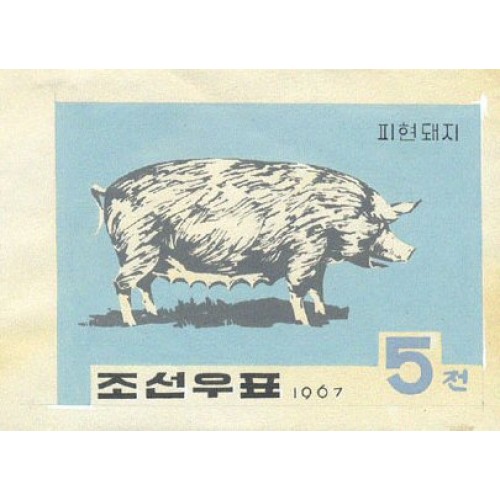 Korea DPR (North) 1967. Farm dirty pig 5w. Signed Artist Stamps Works. Size: 170/130mm KP Post Archive Mark