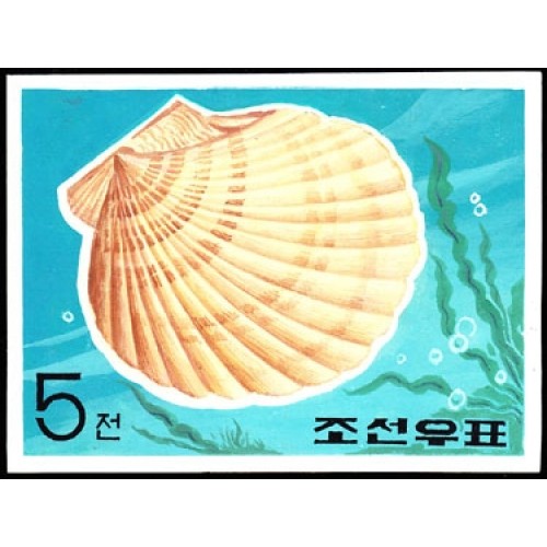 Korea DPR (North) 1969. Marine Life small shell 5w. Artist Stamps Works. Size: 151/111mm