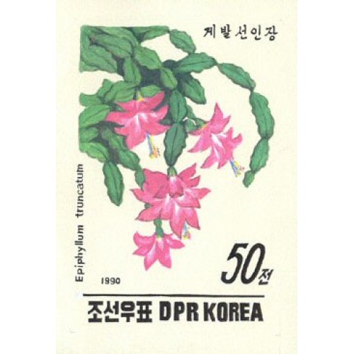 Korea DPR (North) 1990. Cactus Flowers 50w. Signed Artist Stamps Works. Size: 120/160mm  KP Post Archive mark