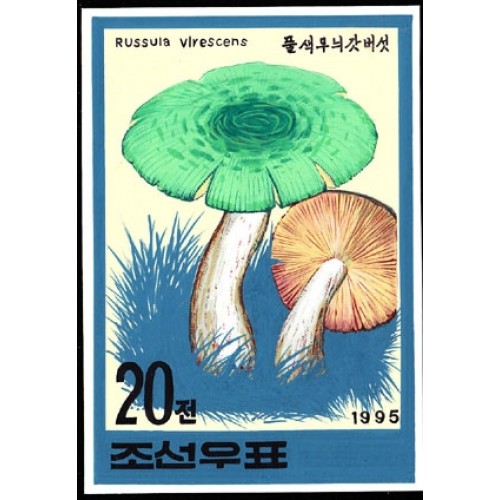 Korea DPR (North) 1995. Mushrooms Funghi 20w. Signed Artist Stamps Works. Size: 124/176mm  KP Post Archive mark