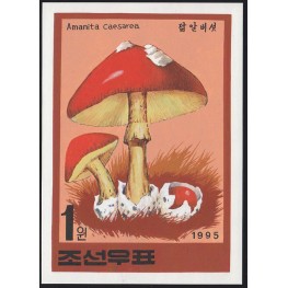 Korea DPR (North) 1995 Mushrooms Funghi 1w Signed Artist Stamps Works Size: 129/181mm KP Post Archive mark