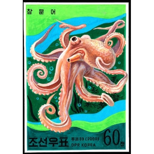 Korea DPR (North) 1999. Long tailed Octapus  60w. Signed Artist Stamps Works. Size: 111/149mm  KP Post Archive mark
