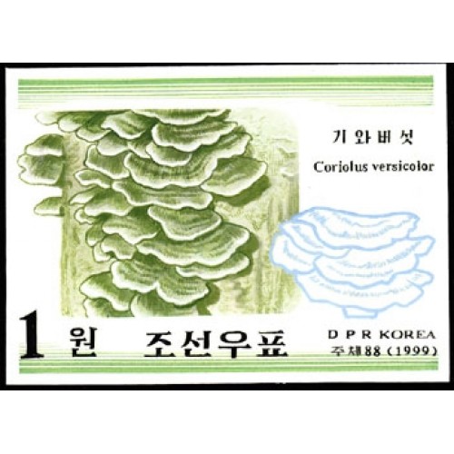 Korea DPR (North) 1999. Mushrooms Funghi 1w. Signed Artist Stamps Works. Size: 109/151mm  KP Post Archive mark